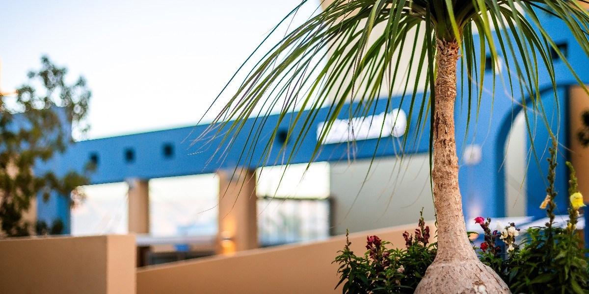 Almogim Suites Eilat Hotel (Adults Only) エクステリア 写真